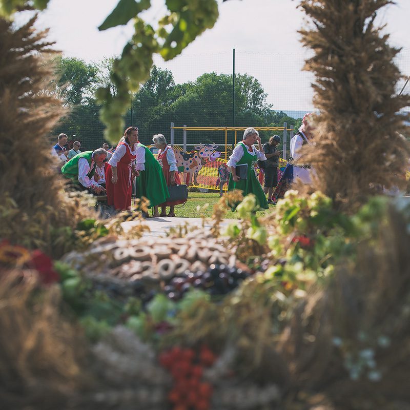 fotograf na dożynki