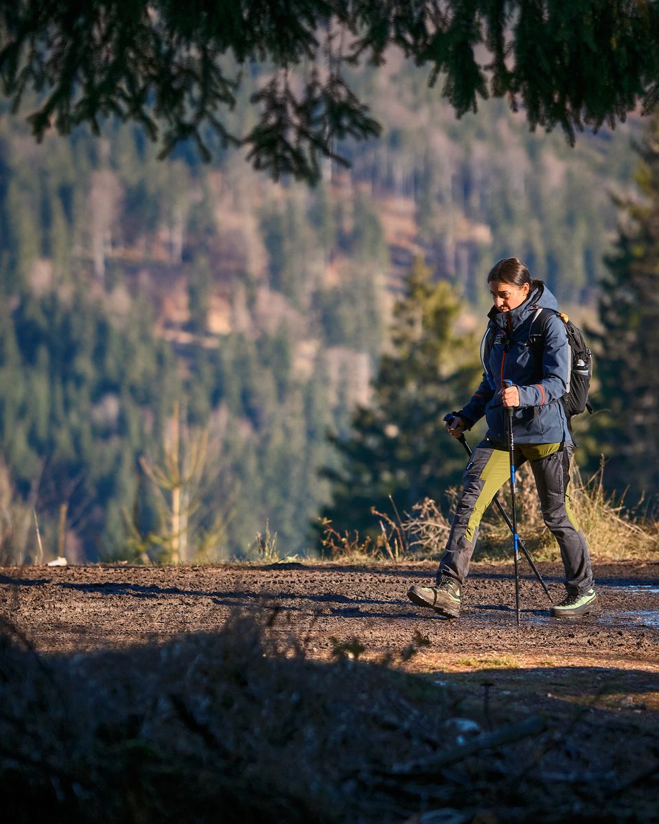 Marsz jaskiniowego niedźwiedzia